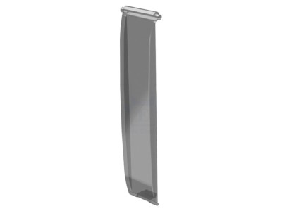 Panou Transparent Frontal foto