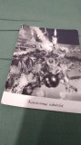 Cumpara ieftin CARTE POSTALA FELICITARE CIRCULATA