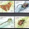 CHINA 2023 FAUNA INSECTE