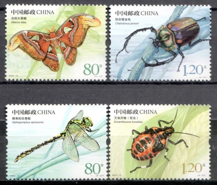 CHINA 2023 FAUNA INSECTE