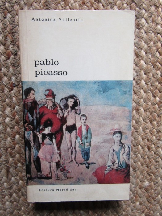 Pablo Picasso - Antonina Vallentin