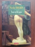 Ingerul de gips- Nicolae Breban