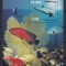 Cuba 2002 - PESTI,CORALI - MNH