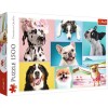 Puzzle Trefl 1500 Catelusii Amuzanti, TREFL 1500P