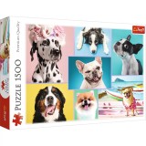 Puzzle Trefl 1500 Catelusii Amuzanti, TREFL 1500P