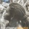 Caseta Tracy Chapman &lrm;&ndash; Collection, originala