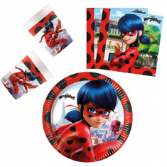 Set vesela unica folosinta tematica Miraculous Buburuza 36 Piese