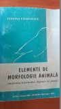 Elemente de morfologie animala. Anatomia tractusului digestiv la pasari- Gianina Comanescu