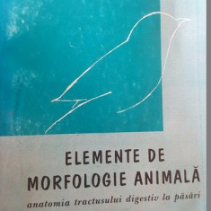 Elemente de morfologie animala. Anatomia tractusului digestiv la pasari- Gianina Comanescu