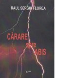Carare spre abis - Raul Sergiu Florea