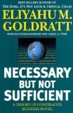Necessary But Not Sufficient: A Theory of Constraints Business Novel