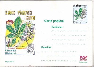 bnk cp Expofil Luna Padurii 2000 - necirculata - marca fixa - 033/2000 foto