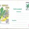 bnk cp Expofil Luna Padurii 2000 - necirculata - marca fixa - 033/2000