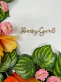 Topper cu textul ,,baby girl baby boy pentru aranjamente florale si tort din lemn