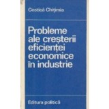 Probleme ale cresterii eficientei economice in industrie