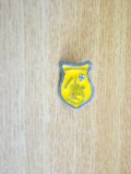QW9 N5 3 - insigna - tematica istorica - Cavalerii teutoni, Europa