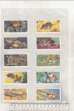 Bnk crc Brooke Bond Tea - Fauna britanica - completa