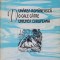 DUNAREA ROMANEASCA - O CALE CATRE UNIUNEA EUROPEANA-MARCU BOTZAN-239972