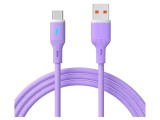 Cablu USB 2.0 AKYGA AK-USB-65, USB A la USB C nichelat, 1m violet