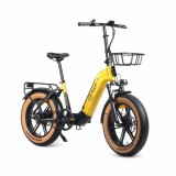Bicicletă Electrică Youin BK1750 LUXOR II PRO A/N Galben 250 W