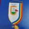 fanion Clubul Sp. Sc. Arad