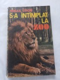 Mihail cociu-s-a intamplat la zoo