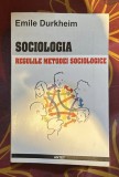 Emile Durkheim - Sociologia. Regulile metodei sociologice