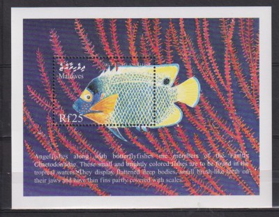 MALDIVES MI. BLOCK 433 MNH foto