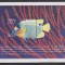 MALDIVES MI. BLOCK 433 MNH
