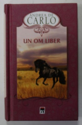 UN OM LIBER de ANDREA DE CARLO , 2013 foto