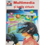 Rainer Kothe - Multimedia si lumile virtuale (Editia: 2000)