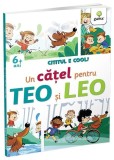 Un cățel pentru Teo și Leo - Paperback brosat - Gama