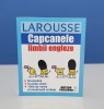 Larousse - Capcanele limbii engleze, Carte Gramatica, Editura Meteor Publishing, 2011