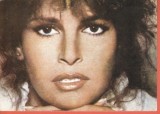 AS - C.P. RAQUEL WELCH - COLECȚIA CASA FILMULUI, NECIRCULATĂ (STAREA CARE SE VEDE)