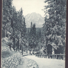 3542 - TULGHES, Harghita, Romania - old postcard - unused - 1917