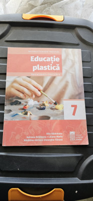 EDUCATIE PLASTICA CLASA A VII A BADULESCU BRAILEANU TANASE MARIN foto