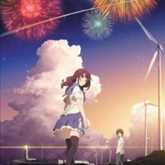Fireworks, Should We See It from the Side or the Bottom? (Light Novel)