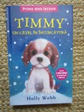 TIMMY , UN CATEL IN INCURCATURA DE HOLLY WEBB , 2016