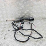 Cablaj Usa Dreapta Spate BMW Seria 5 G30 (2017-2024) OEM 9841292, 14379267 Original