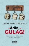 Adio, gulag! - Levan Berdzenisvili