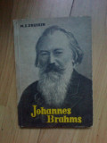 B1a Johannes Brahms - M. S. Druskin