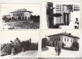 Bnk foto - Craiova 1975 - lot 4 fotografii, Alb-Negru, Romania de la 1950, Cladiri