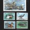 kiribati pasari mnh