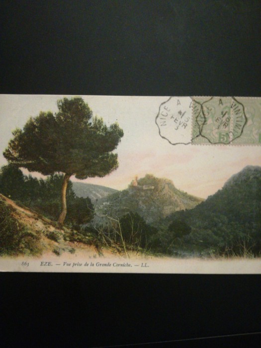 CP color 1905 Nisa - Sinaia, destinatar Alice Demetriad