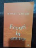 Ecouri in amurg - Mihai Ghiur