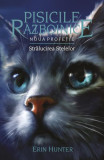 Strălucirea stelelor (Vol. 10) - Paperback brosat - Erin Hunter - Galaxia Copiilor