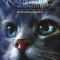 Strălucirea stelelor (Vol. 10) - Paperback brosat - Erin Hunter - Galaxia Copiilor