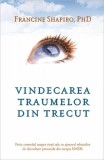 Vindecarea traumelor din trecut. Preia controlul asupra vieţii tale cu ajutorul tehnicilor de dezvoltare personală din terapia EMDR - Paperback brosat