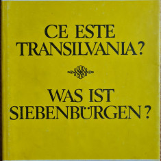 Ce este Transilvania?/Was ist Siebenburgen? - Stefan Pascu