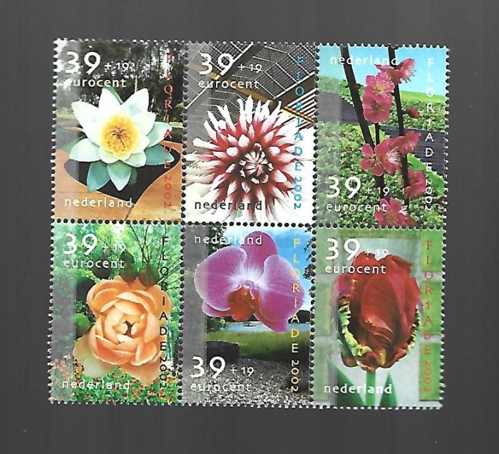 olanda flori mnh